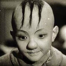 qq_独自醉65