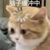 xiting123-【TITAIKE】T太科网
