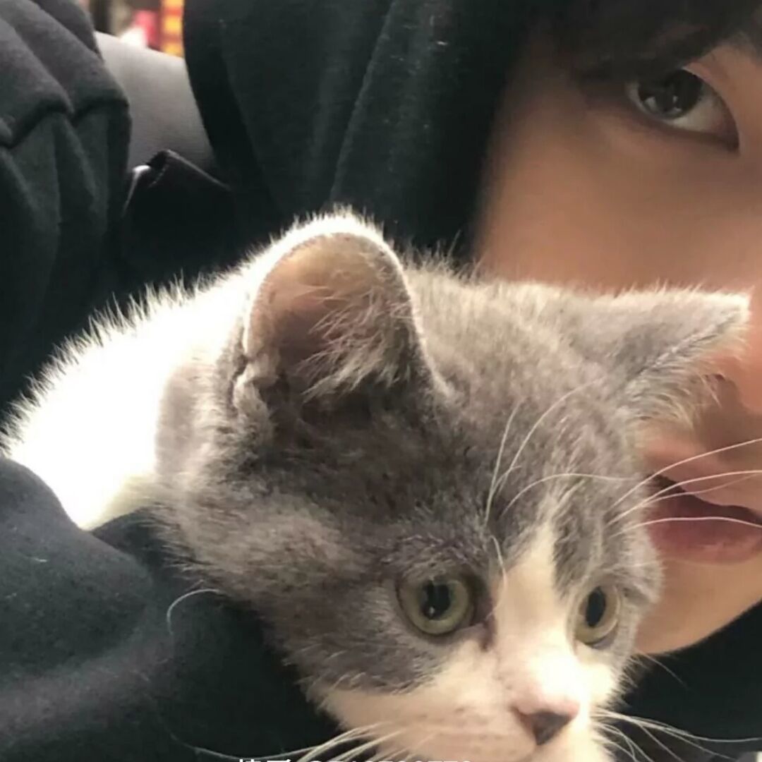 qq_云79