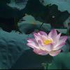 dgdhzh-【TITAIKE】T太科网