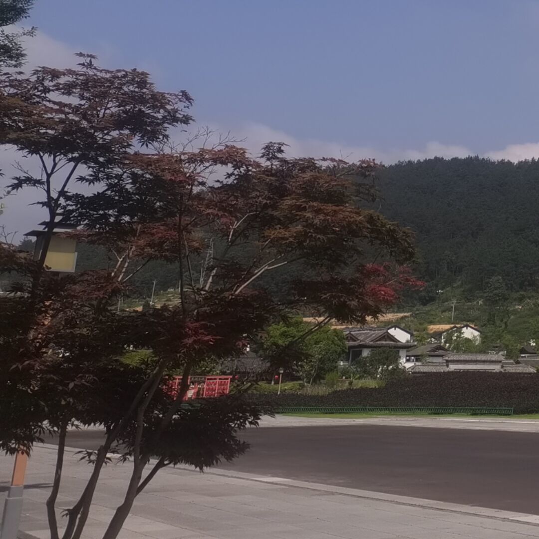 qq_皆失51