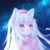 猫小白-【TITAIKE】T太科网