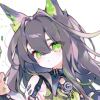 RAWPAW27-【TITAIKE】T太科网