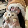 小笨蛋.-iPA资源站