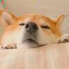 hshshshssjdjdjjd-【TITAIKE】T太科网