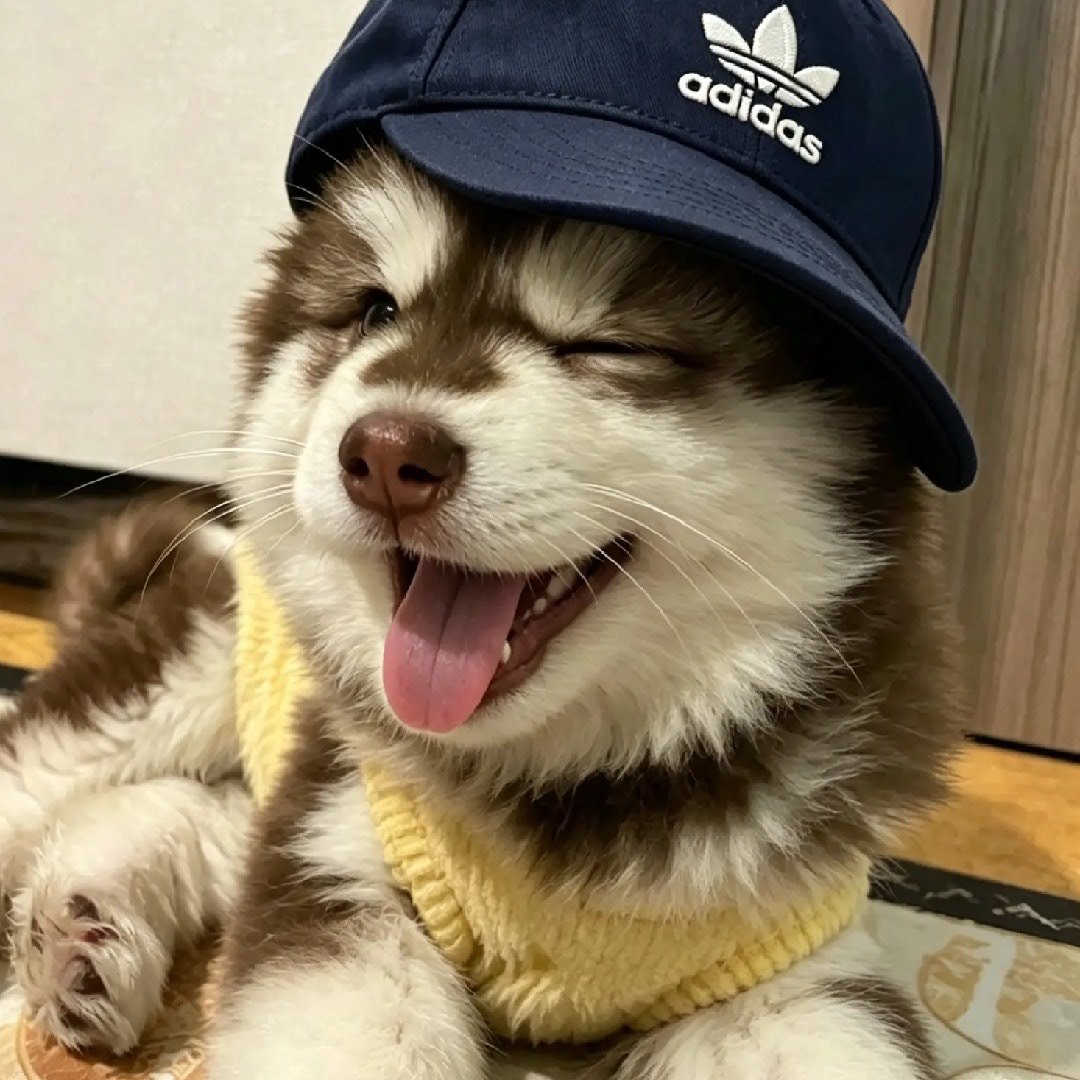 用户头像