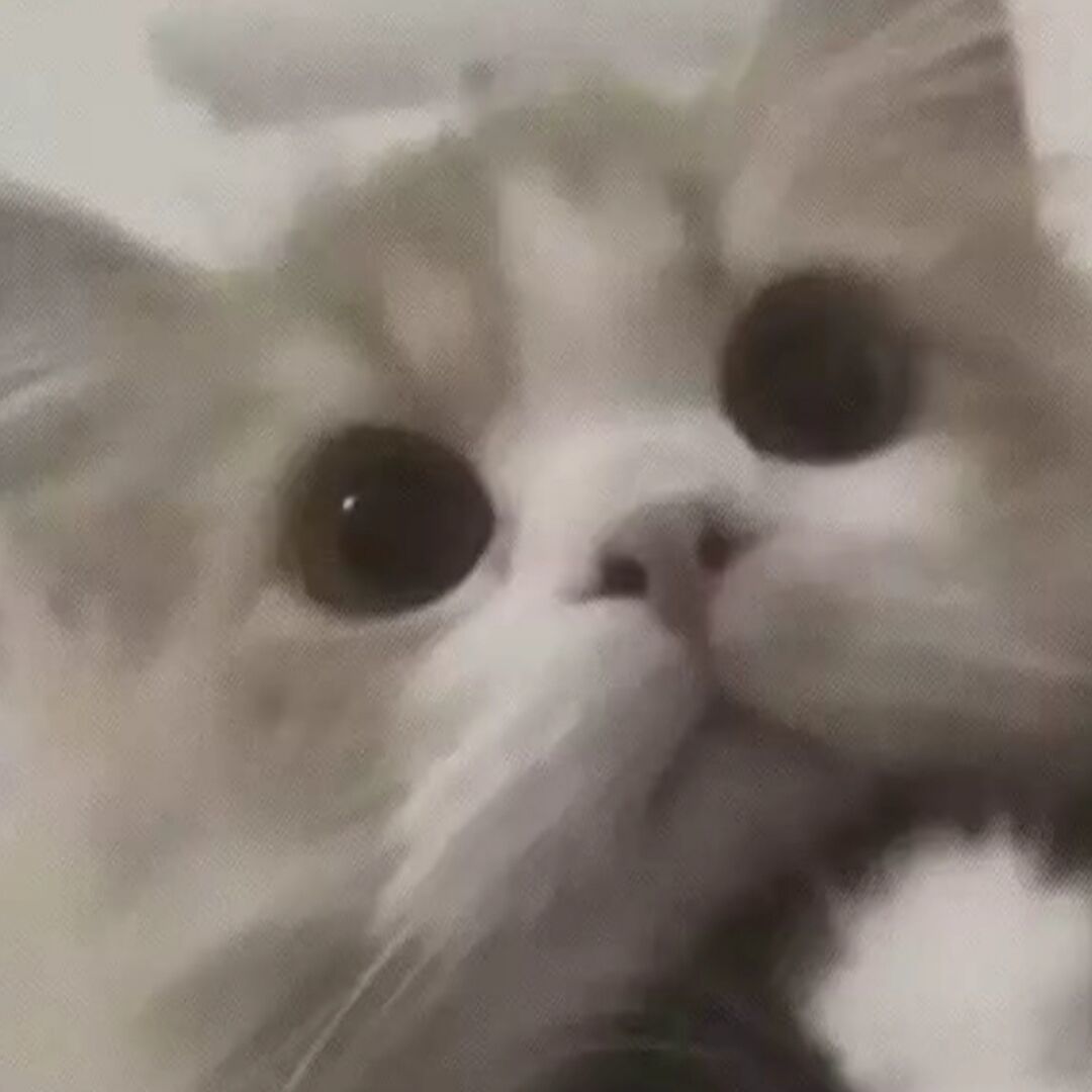 qq_思97