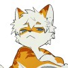 单口-【TITAIKE】T太科网