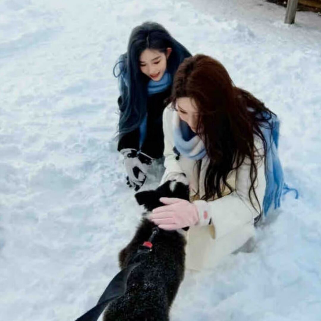 qq_李26