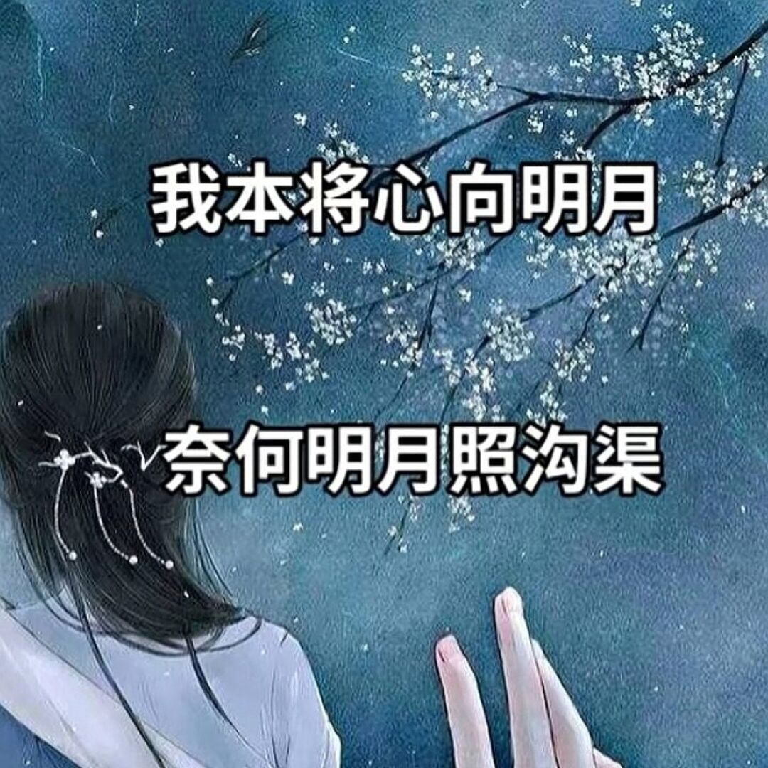 qq_纹身师24