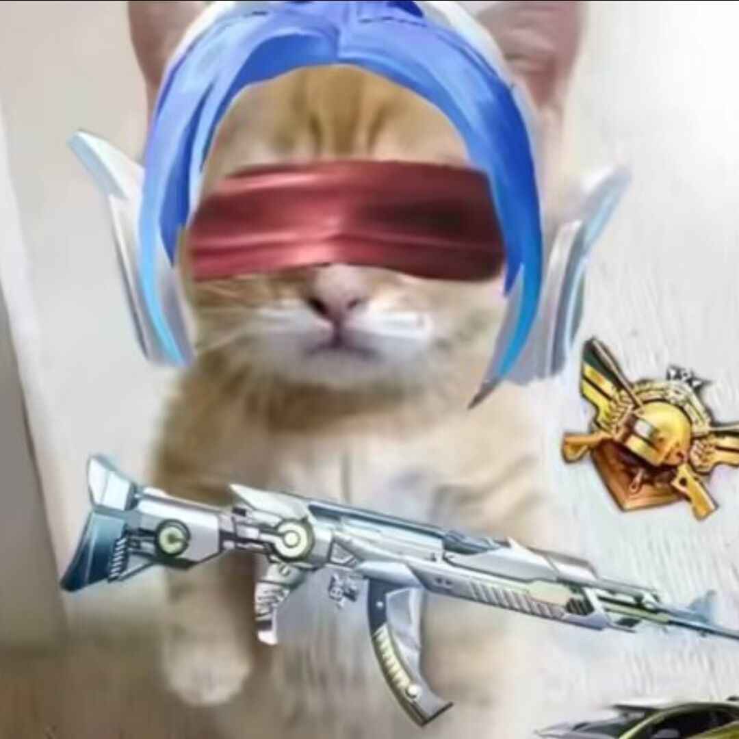 qq_哦22
