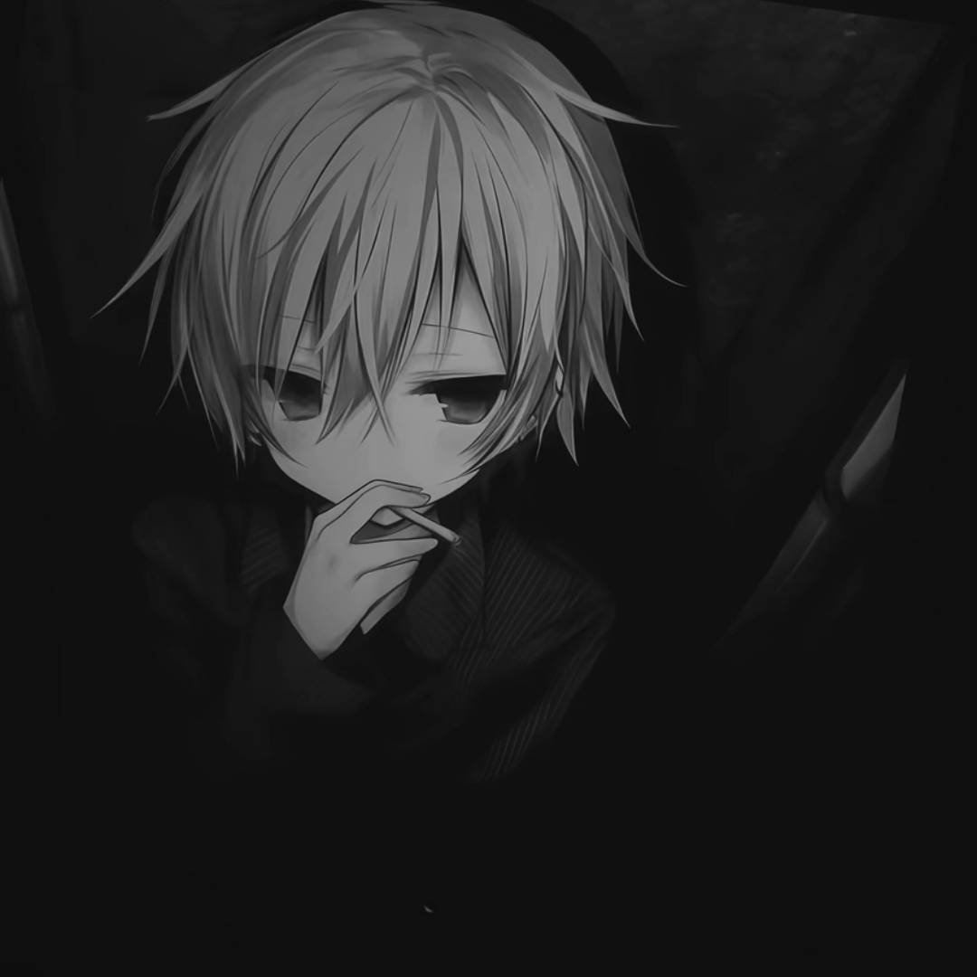 qq_青山不改旧43