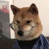 yzlxbddkl-【TITAIKE】T太科网