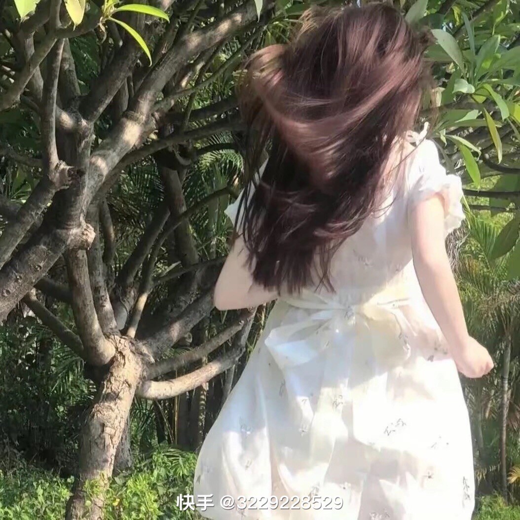qq_莫董棠63