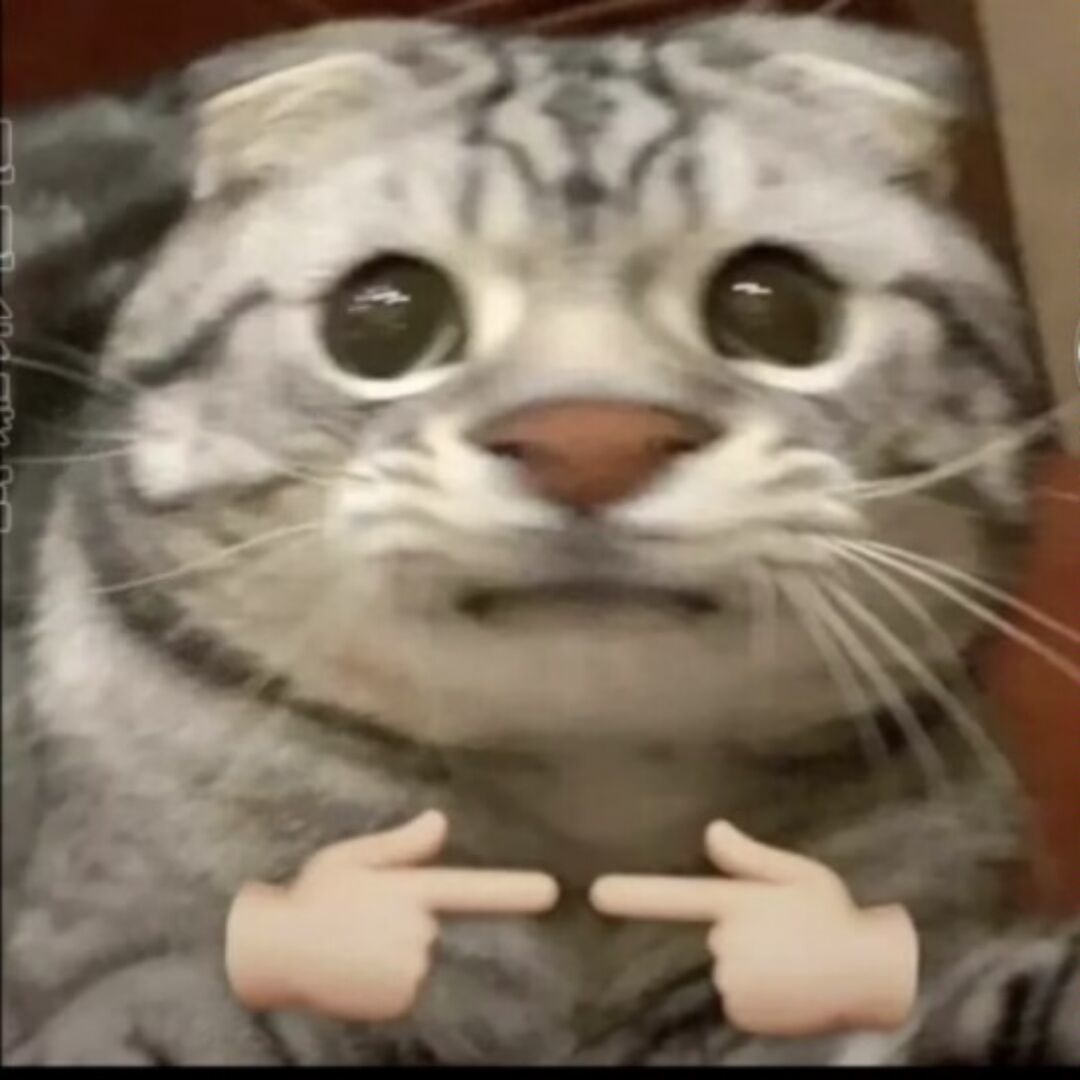 qq_Yovnm77