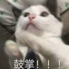 zgzsdnrl-【TITAIKE】T太科网