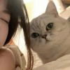 xiaoyangovo9-【TITAIKE】T太科网