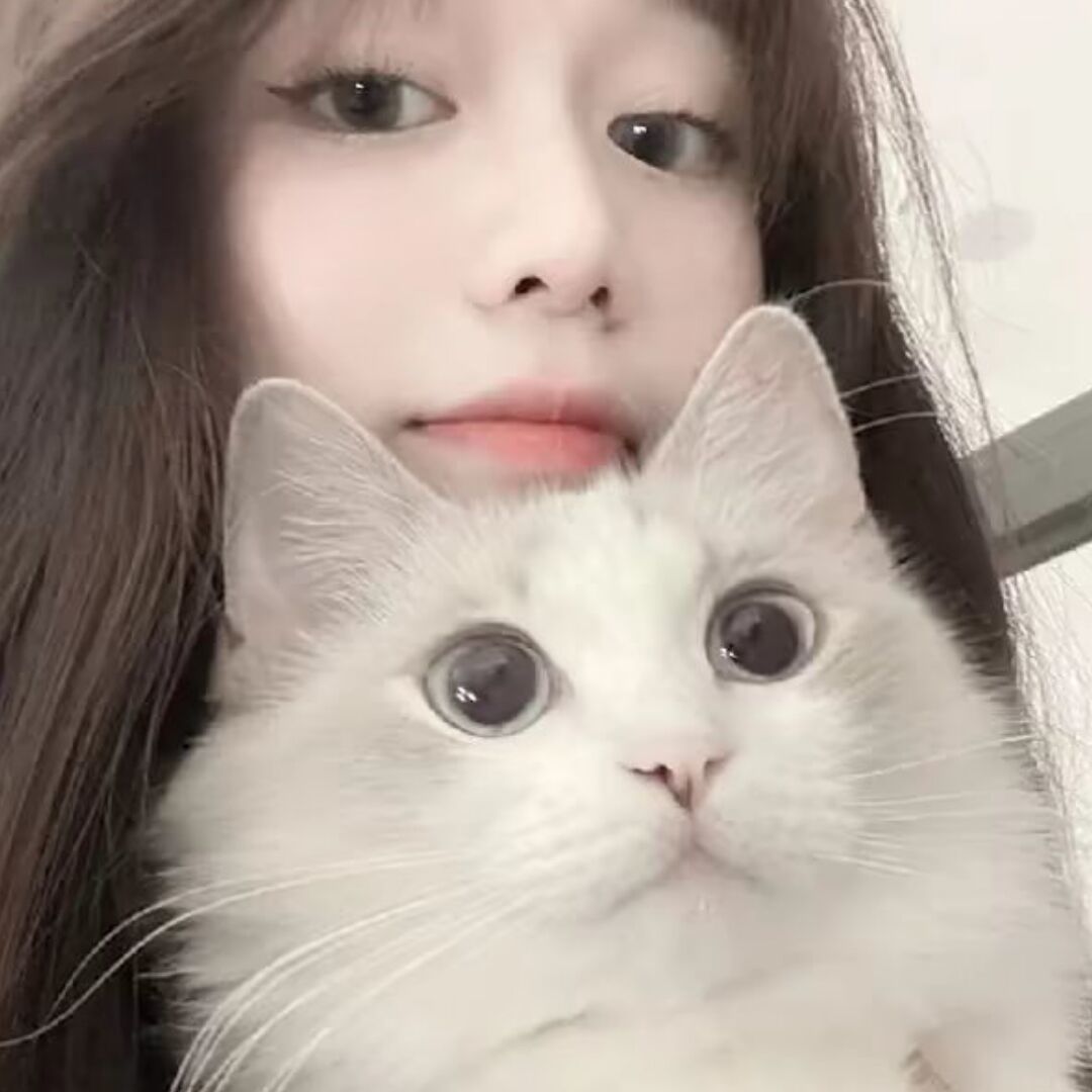 qq_别扶朕83