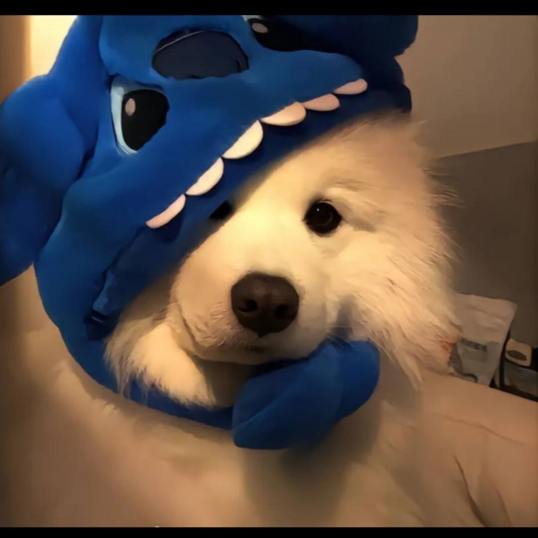 qq_那谁^o^你只属于我63