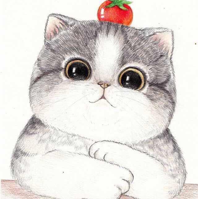 破晓黎明