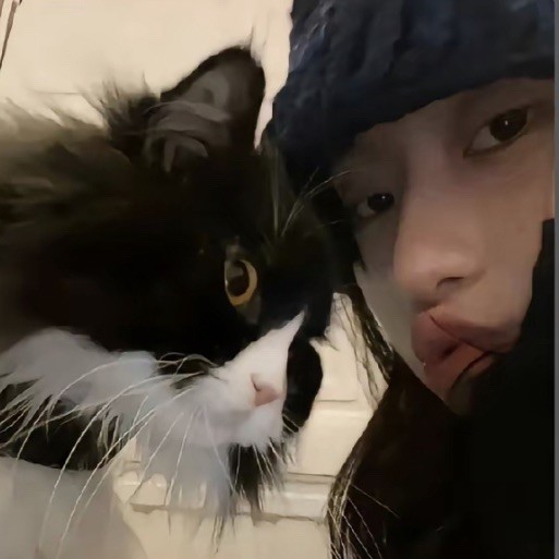 qq_/83