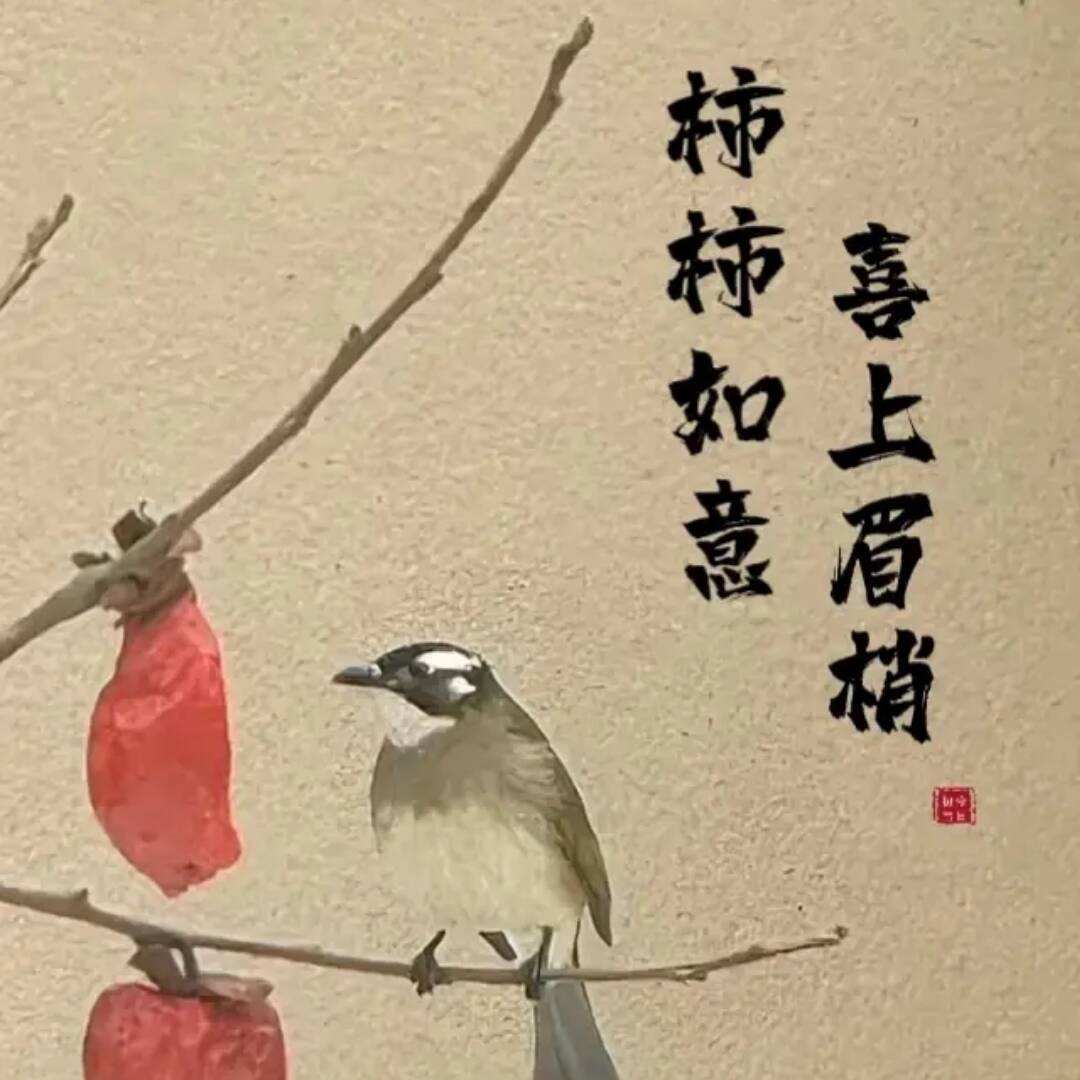 鹏少爷