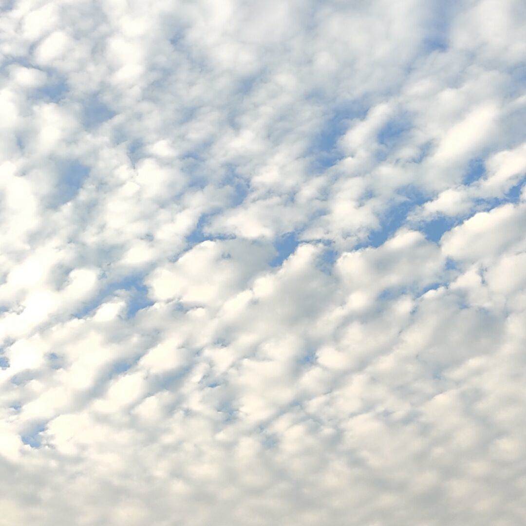 qq_梦醒三年遥望无期99