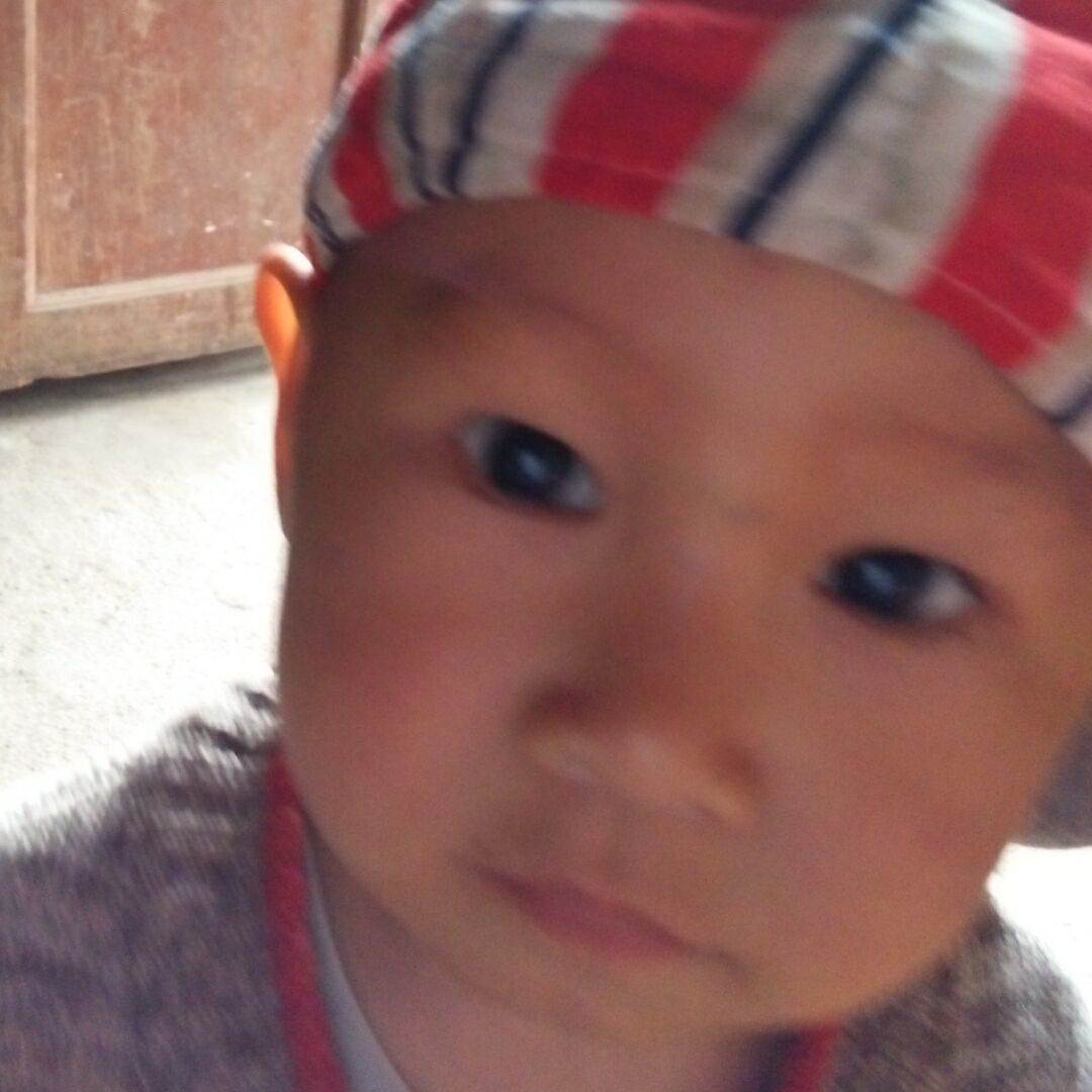 qq_sjjjs61