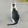 薛定谔的猫