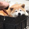 Fiver51-【TITAIKE】T太科网