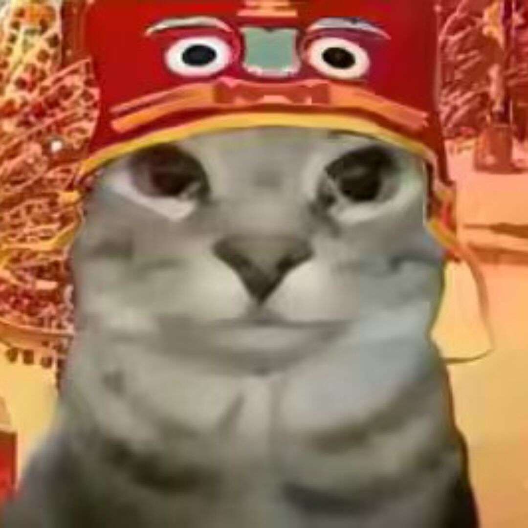 qq_清菜仙帝30