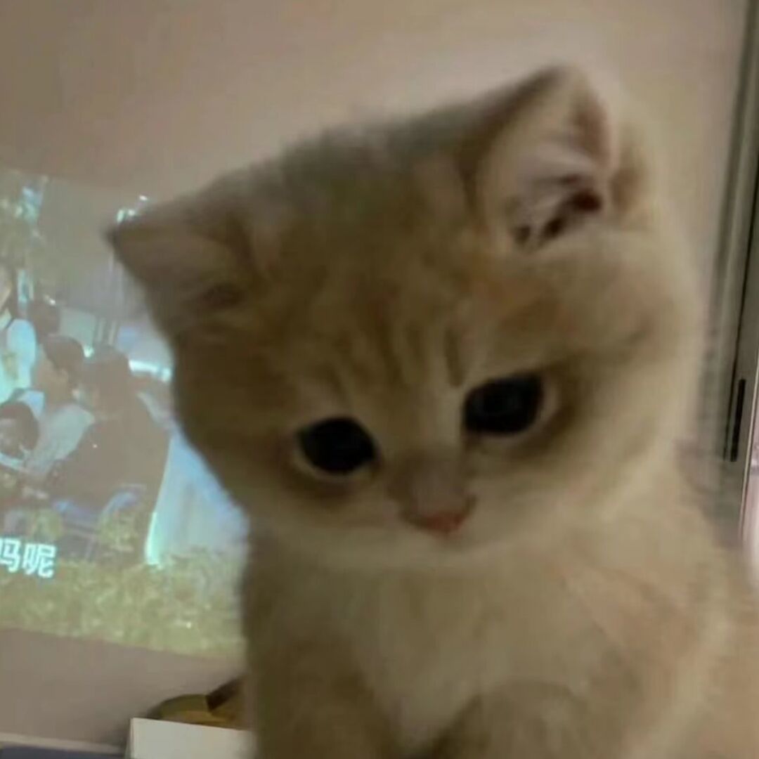 qq_小迪^35