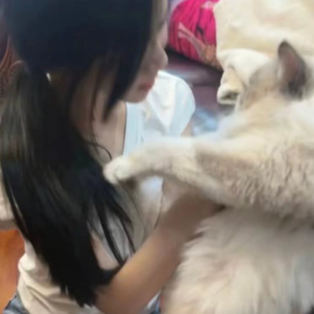 qq_周六不见^99