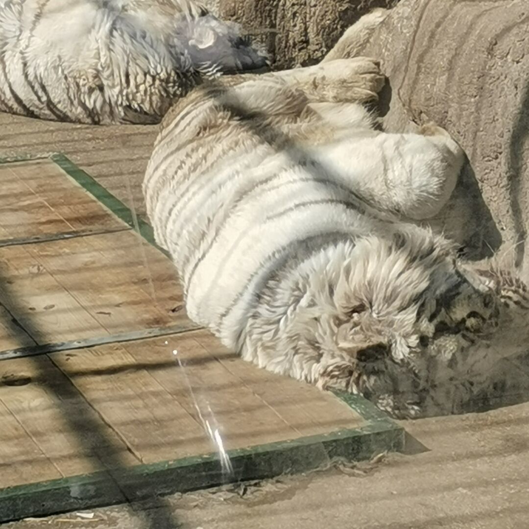 qq_弱电安防44