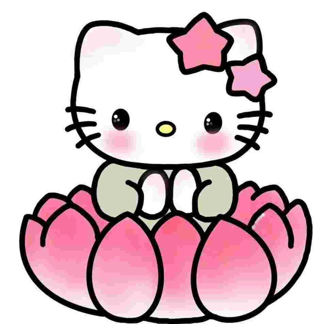 qq_樱桃44