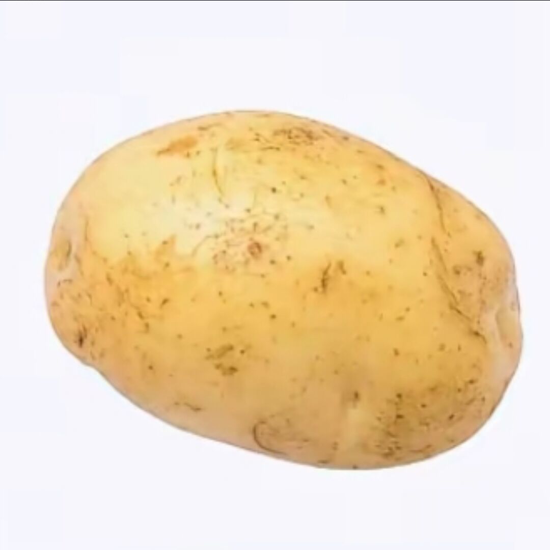 qq_24852338