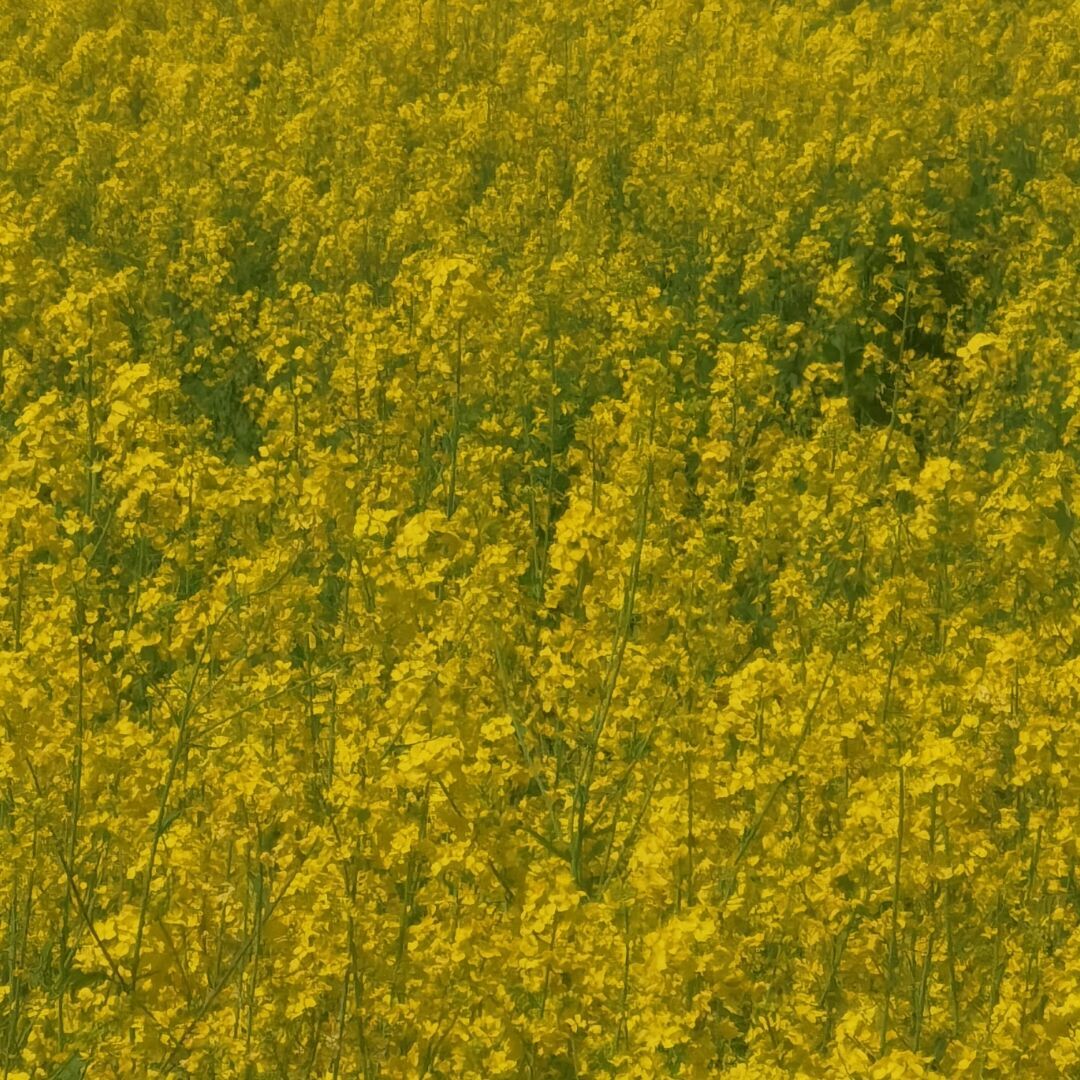 qq_郭昀天30