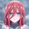 sssch-【TITAIKE】T太科网