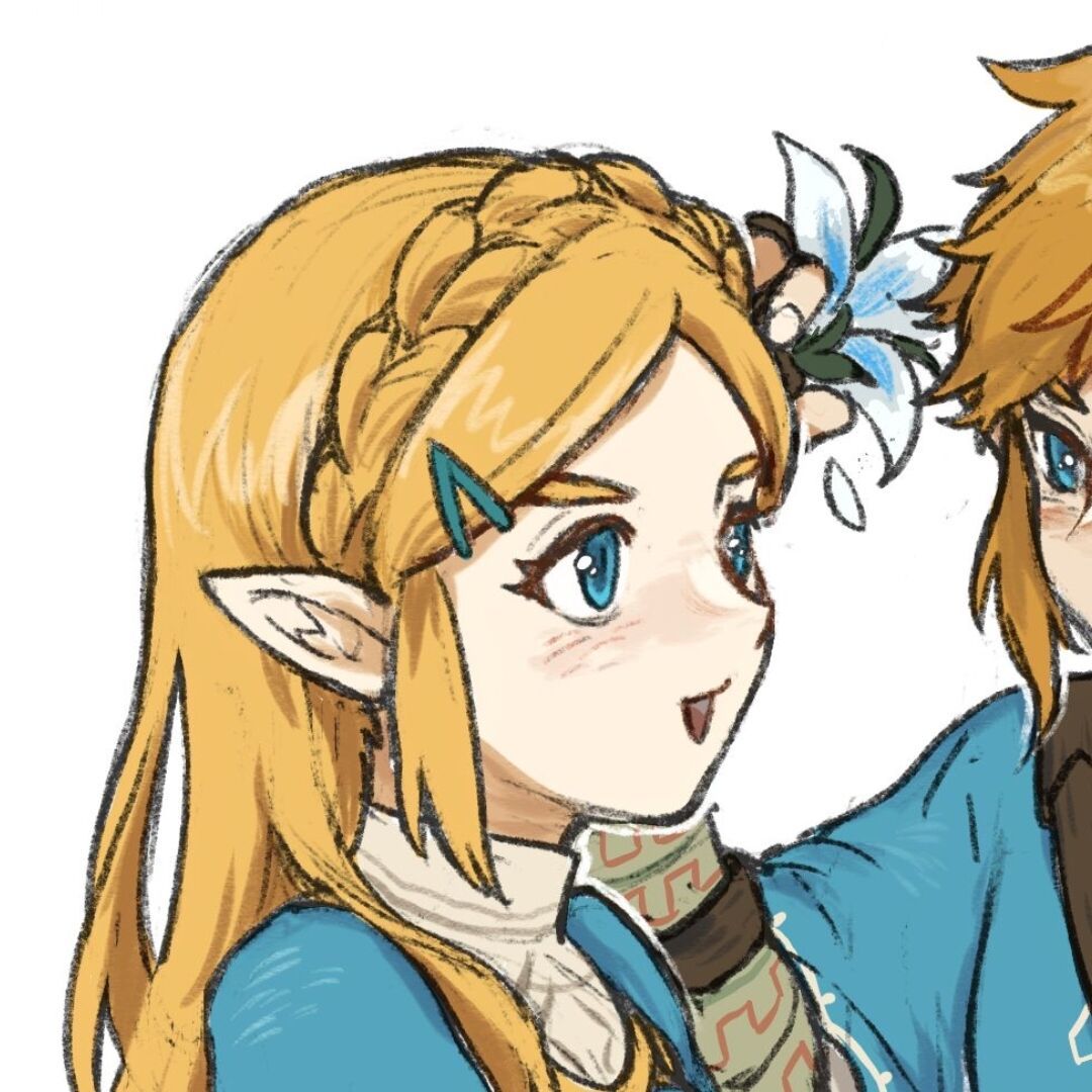 qq_Zelda75
