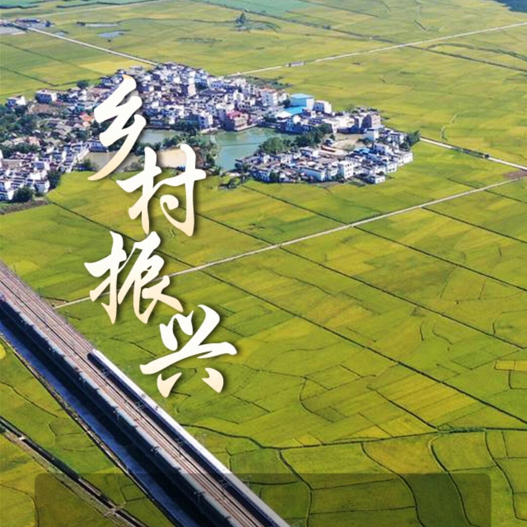 集团QQ