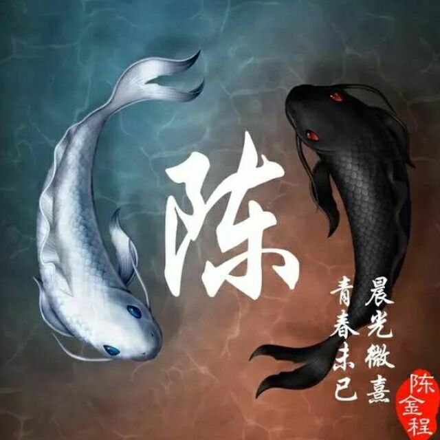 qq_C12