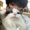 诶呀晚安-【TITAIKE】T太科网