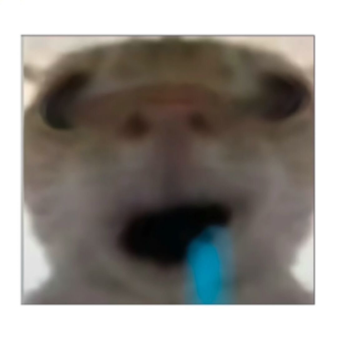 qq_永恒31