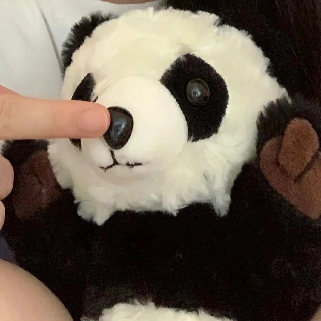 qq_H.24