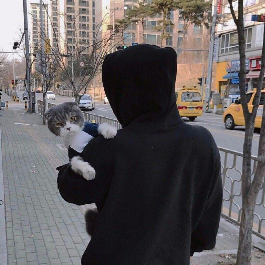 qq_略76