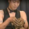 qqpp114-【TITAIKE】T太科网