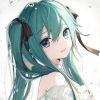 Miku初音-nowroot