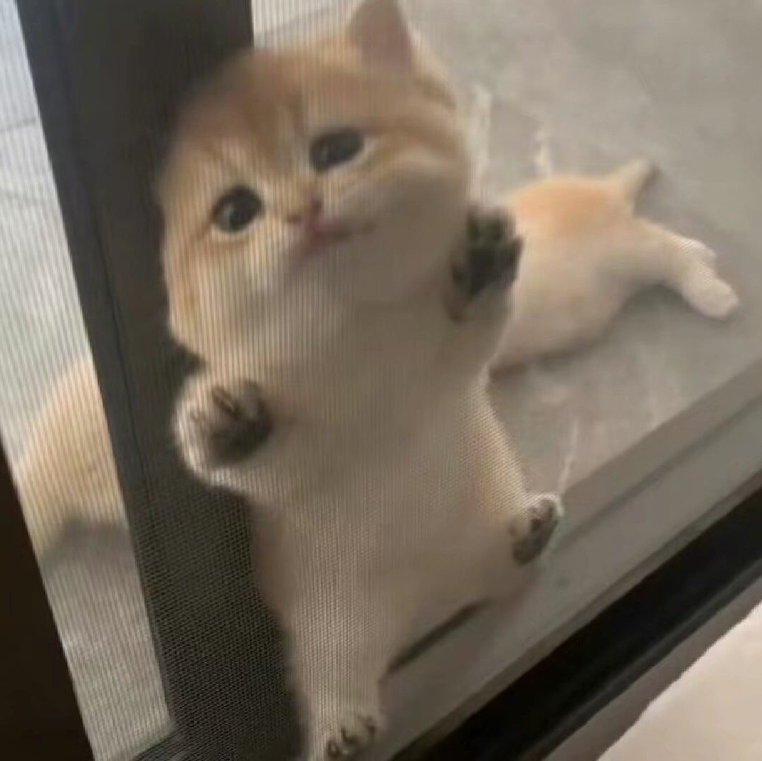 qq_好菇凉27