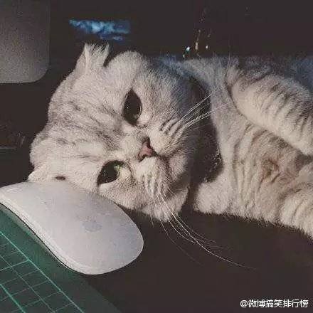 。