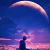 加拿大-【TITAIKE】T太科网